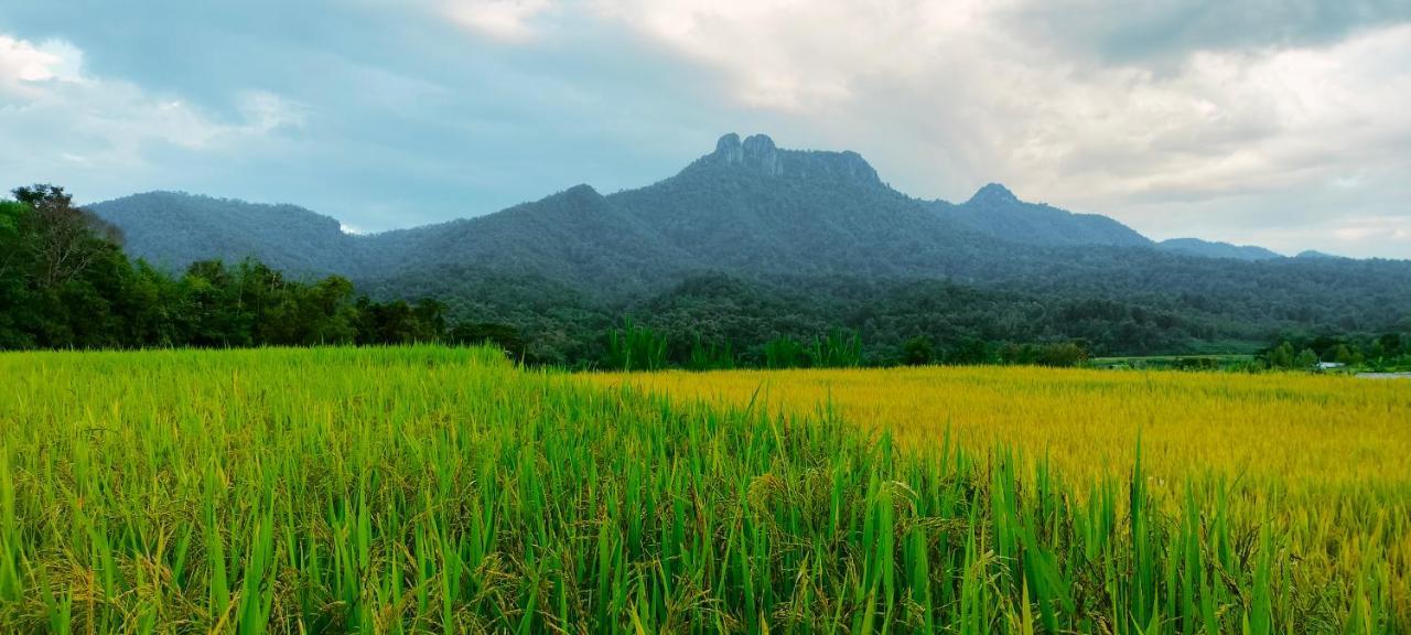 Pimpisa Garden พิมพิศา การ์เด้นท์ Villa Khuang Kom Ngoại thất bức ảnh